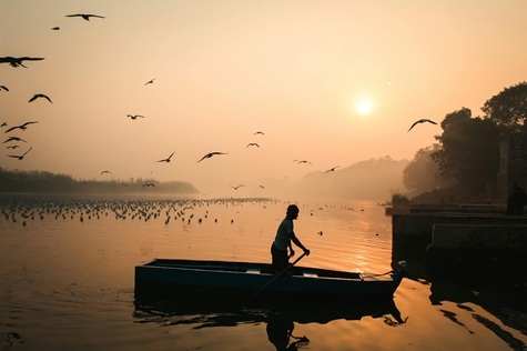What Happens If You Row Every Day?