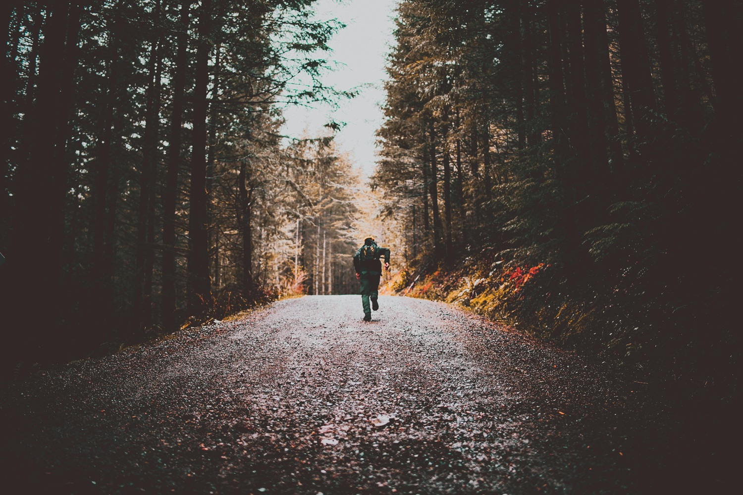 Why Virtual Running Is Becoming So Popular