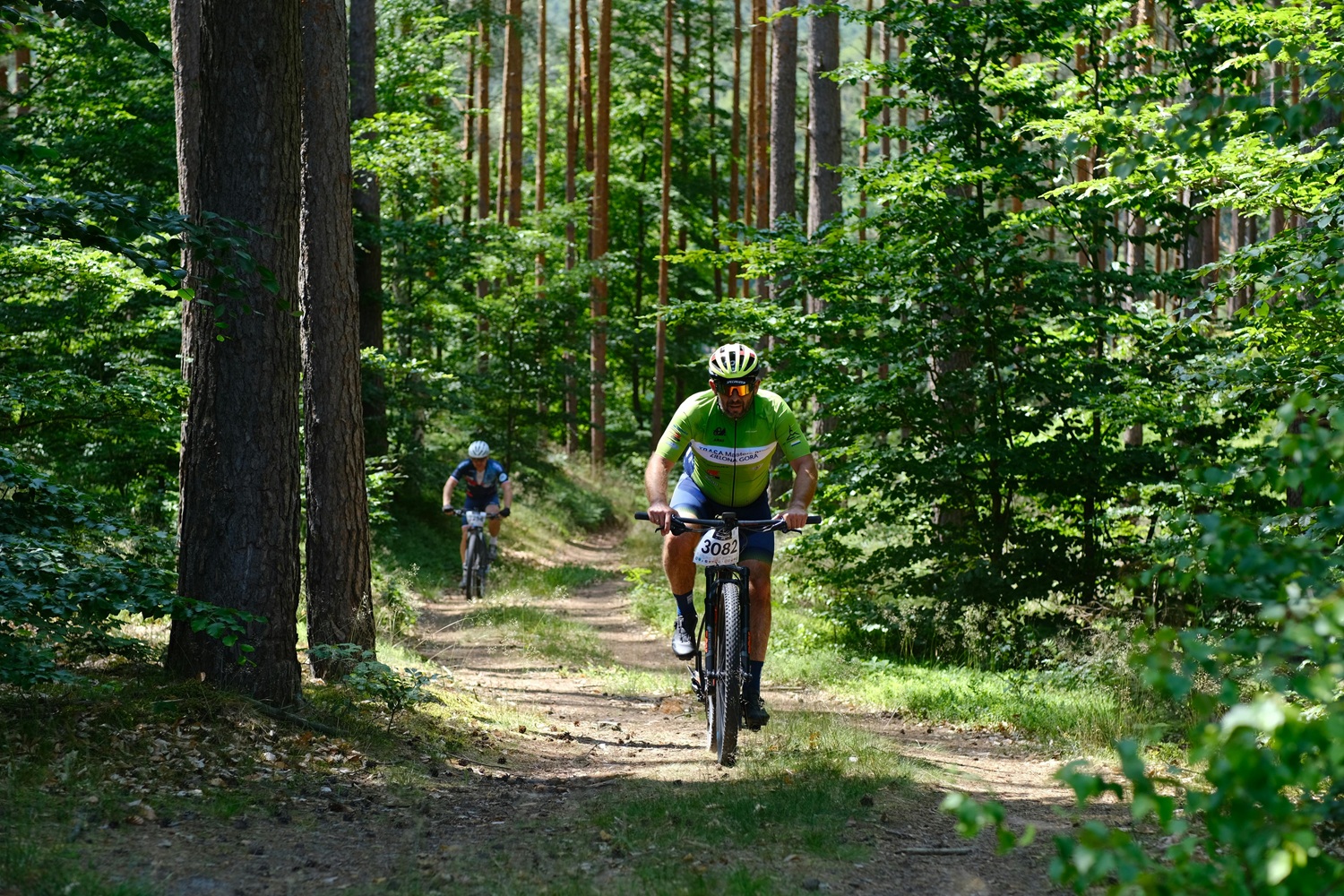 pexels-szafran-33397106.jpg
