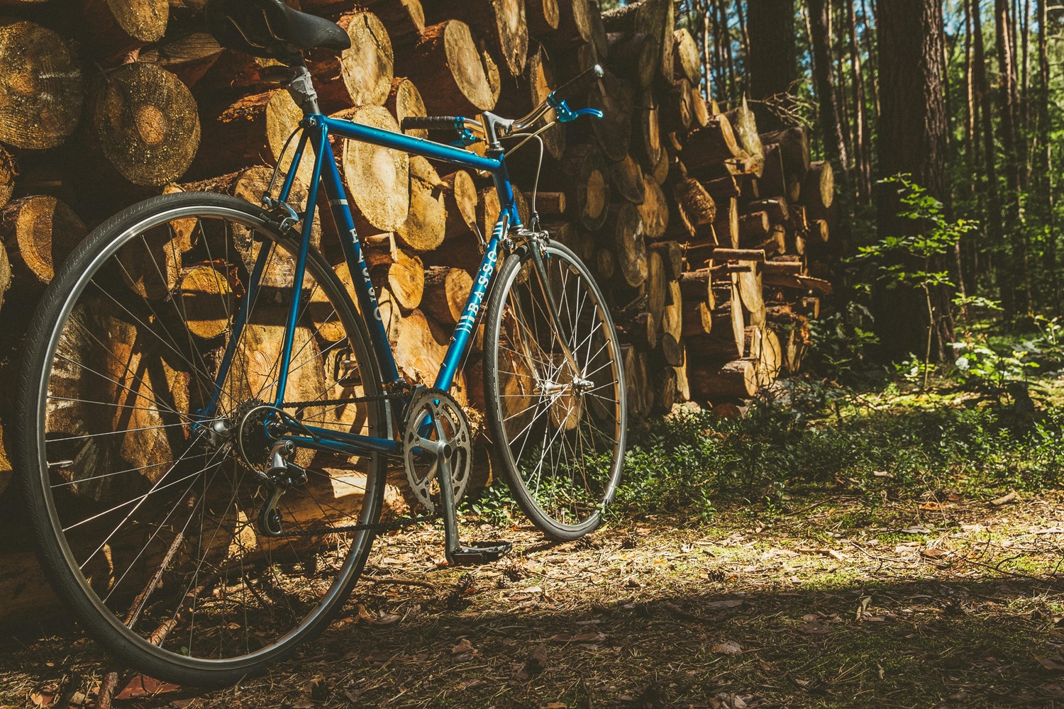 pexels-markusspiske-145399.jpg